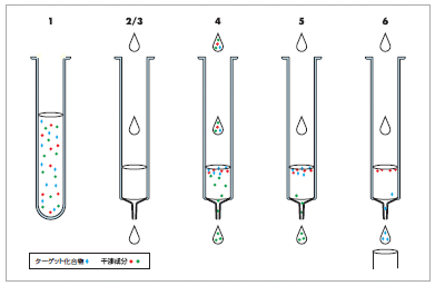 図.1　典型的なSPE手順