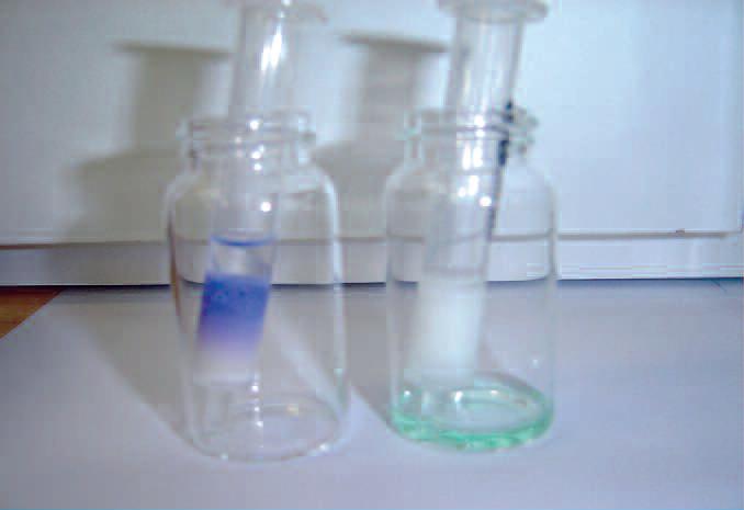 250mg /5mL の Ni(OAc)2 水溶液のスカベンジの様子。