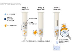 ISOLUTE SLE+